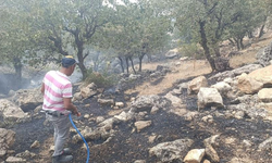 Siirt’te orman yangını büyümeden söndürüldü