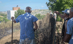Sinop'ta rüzgarın etkisiyle yangın otlara taşındı