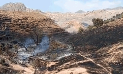 Şırnak'ta ilçede örtü yangını çıktı