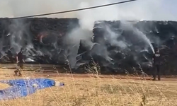 Tekirdağ'da bin 500 saman balyası kül oldu