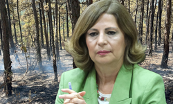 Ünlüce: Çok üzgünüz, şehitlerimiz var!