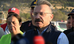 Vali Aksoy, yangında 60 hektar alanın zarar gördüğünü açıkladı