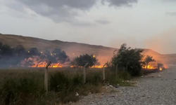 Van'da ağaçlık alanda yangın
