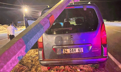 Van’da trafik kazası: Aydınlatma direği kamyonetin üzerine devrildi