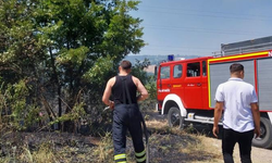 Zonguldak'ta çıkan orman yangını korkuttu