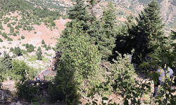 Adana'da bir otomobil uçuruma yuvarlandı: 2 kişi hayatını kaybetti