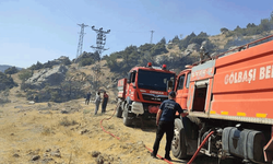 Adıyaman'da orman yangını endişeye neden oldu