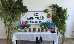 Aydın’da jandarmadan zehirli madde operasyonu: 12 şüpheli yakalandı