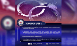 Bingöl'de 4 sene hapis cezası bulunan şahıs yakalandı