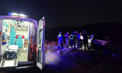 Bingöl'de otomobil ata çarptı: 2 yaralı