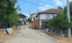 Bolu'da süt sağarken akıma kapılan kadın yaşamını yitirdi