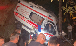 Bursa'da ambulansın karıştığı kazada yaşlı kadın hayatını kaybetti