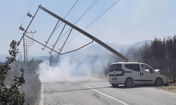 Bursa'da kontrolden çıkan kamyonet elektrik direğini yerle bir etti