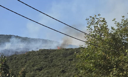 Bursa'da yangını ile ilgili 1 kişi gözaltına alındı