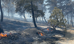 Çanakkale'deki yangında kimi villalar zarar gördü