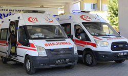 Elazığ'da eşeğin sürüklediği çocuk hayatını kaybetti