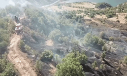 Elazığ'da orman alanda çıkan yangın kontrol altına alındı