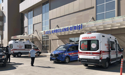 Erzincan'da taş duvar yapımında 2 işçi yaralandı