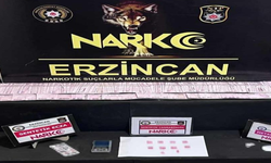 Erzincan’da madde ticaretinden 2 kişi tutuklandı