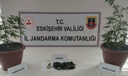Eskişehir’de jandarmadan operasyon: Balkonunda kenevir yetiştirmiş