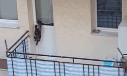 Eskişehir’de polisi harekete geçiren sosyal medya paylaşımı