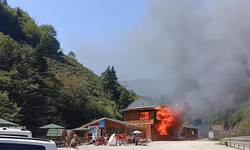Giresun’un gözde tabiat parkında yangın felaketi