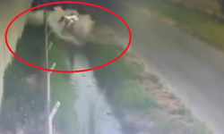 Hatay'da otomobil sulama kanalına uçtu