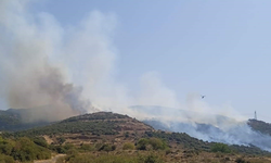 İzmir Aliağa'da makilik alanda yangın