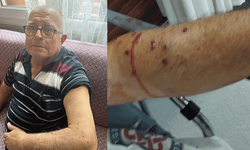 İzmir’de tır sahibi dehşet saçtı: 180 TL için pompalı tüfekle saldırdı