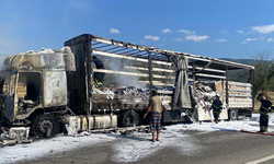 Kastamonu'da D100'de seyir halindeki tır alev alev yandı
