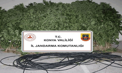 Konya'da jandarma ekiplerinden yasaklı madde ve silah operasyonu
