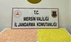 Mersin'de binlerce zehir ele geçirildi: 2 tutuklama
