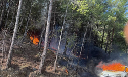 Muğla'da araçtaki yangın ormana sıçradı