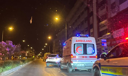 Muğla'da otomobil park halindeki araca çarptı: 2 yaralı