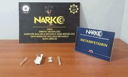 Ordu'da yasaklı madde operasyonu: 1 kişi tutuklandı