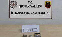 Şırnak'ta jandarmadan kaçakçılığa geçit yok