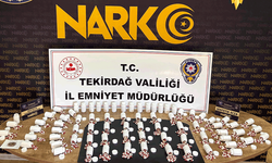 Tekirdağ’da sokak çetelerine darbe: 11 tutuklama