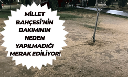 Yaz bitiyor hala bakımı yapılmadı