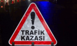 Afyon'da kontrolden çıkan otomobil refüje girdi: 2 yaralı