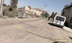 Afyon'da yaktığı otların arasında can verdi