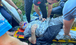 Artvin'de beton mikseri uçuruma yuvarlandı: 1 yaralı