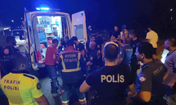 Aydın'da hakimiyetini kaybeden sürücü kamyonete çarptı