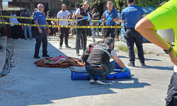 Aydın'da süt toplama kamyonunun altında kalan çocuk hayatını kaybetti
