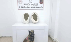 Bingöl'de jandarma ekipleri 10 kiloya yakın yasaklı madde ele geçirdi