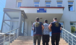 Bingöl’de kesinleşmiş hapis cezası bulunan şahıs yakalandı