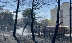 Çanakkale'de çıkan orman yangını kontrol altına alındı