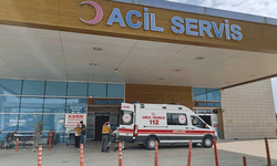 Düğün yemeği zehirlenmeye yol açtı: 21 kişi hastaneye kaldırıldı
