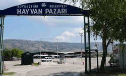 Eskişehir Büyükşehir duyurdu: Hayvan Pazarı geçici kapatıldı