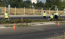 Eskişehir’de sabah temizliği: Belediye ekipleri refüjleri düzenledi