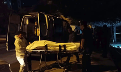 İstanbul'da yaşlı adam ağaca asılı halde ölü olarak bulundu